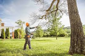 Reliable Fort Sumner, NM Tree Removal Services Solutions